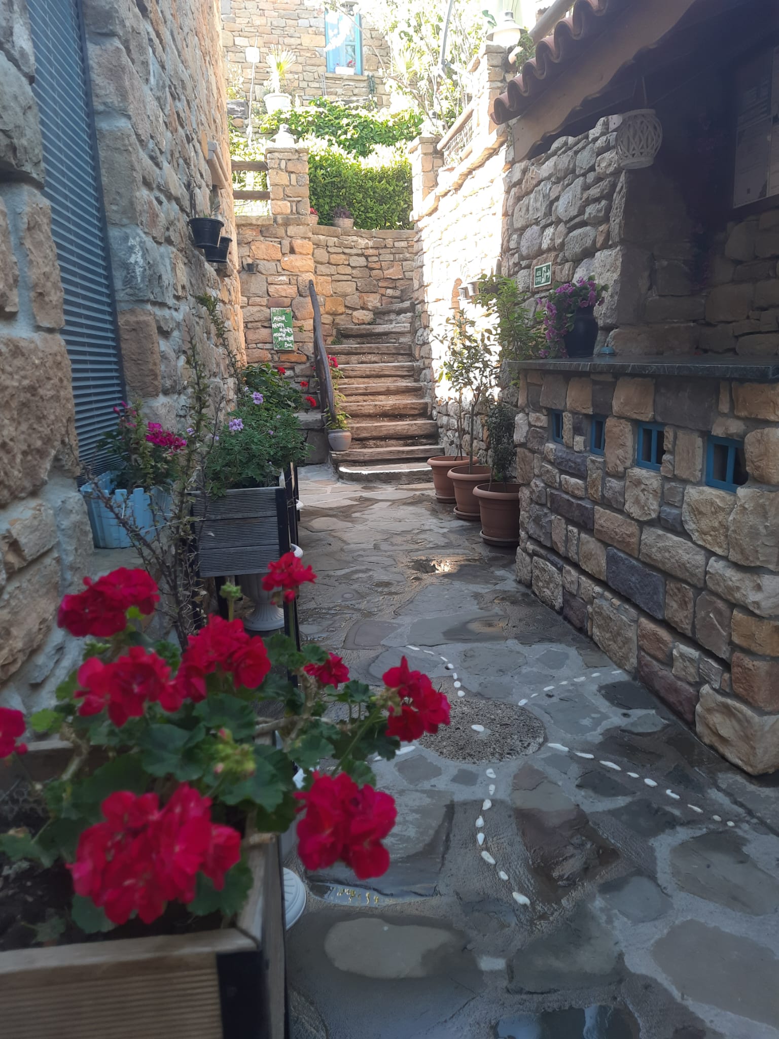 Kırmızı çiçekli taş sokak
